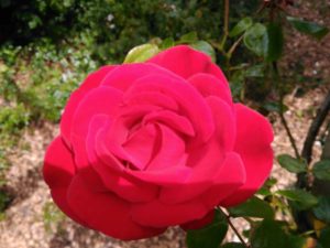 20160714-WA0006