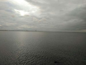 IMG-20160714-WA0000